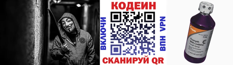 Кодеин напиток Lean (лин)  блэк спрут ТОР  Александровское  где купить  