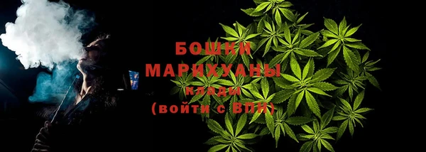 гидра Арсеньев