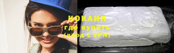 гидра Арсеньев