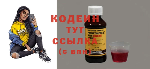 гидра Арсеньев