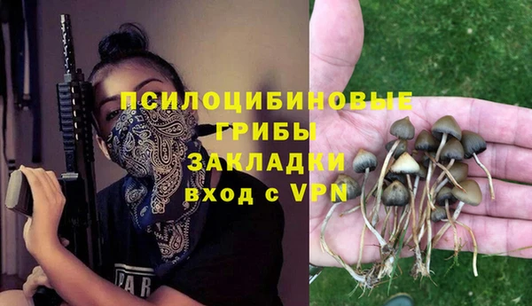 гидра Арсеньев