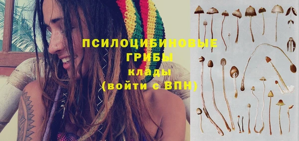 гидра Арсеньев